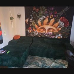 Two Living Room Couches