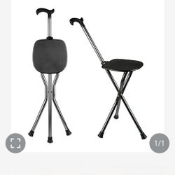 Cane/chair