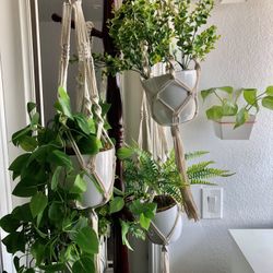 SET OF 3 Artificial Plants in NEW Pot in NEW Beautiful Macrame Hanger Fake Plants PRICE FIRM