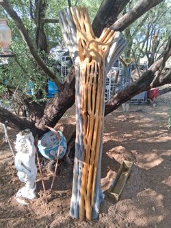 Saguaro ribs
