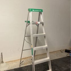 6’ Louisville Ladder 