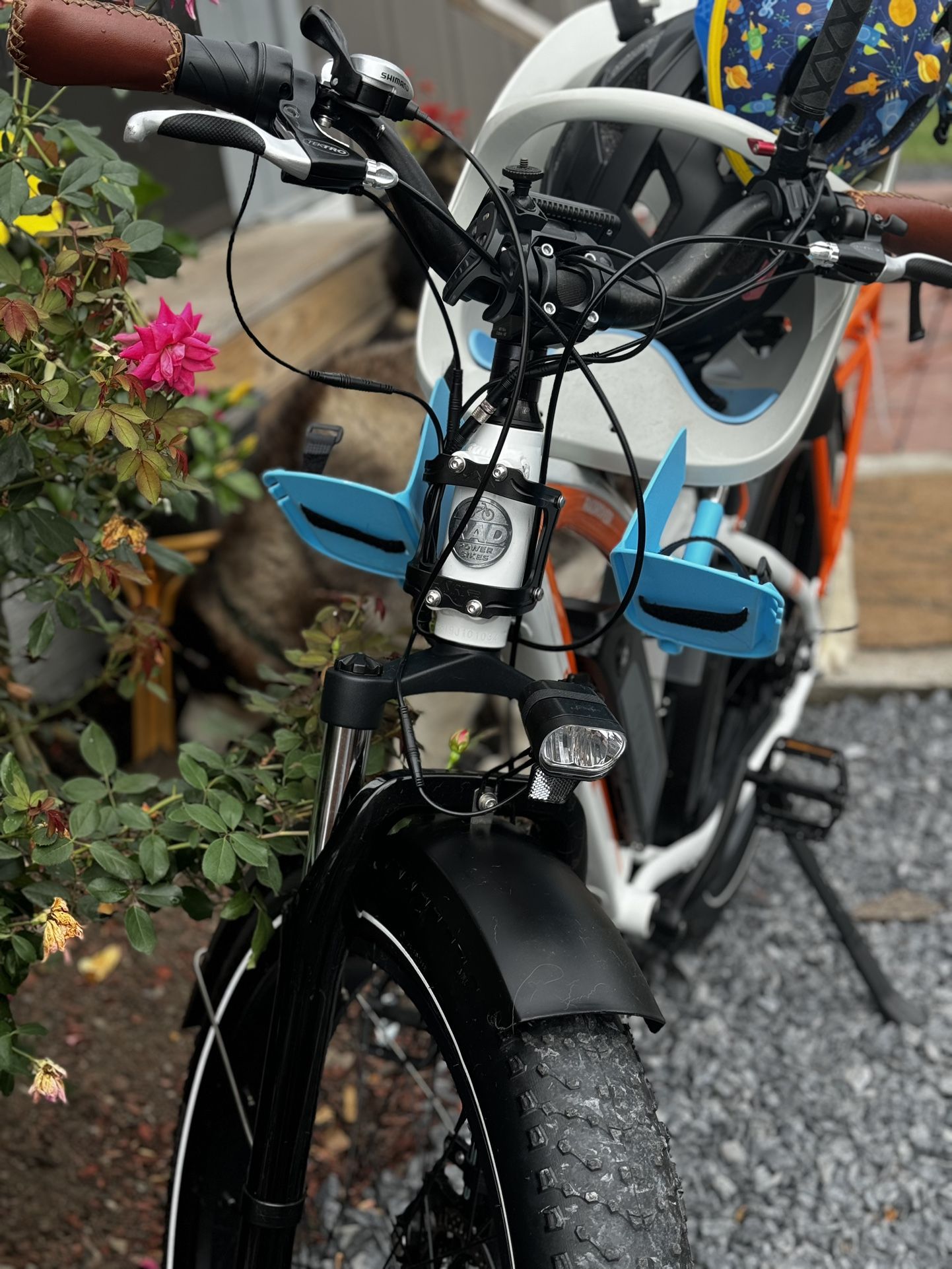 Electric Bicycle