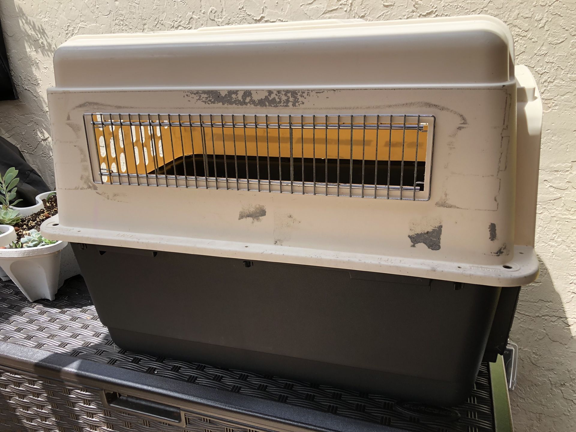 Petco Dog Kennel Large for Sale in Miami, FL OfferUp