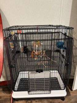 Bird cage