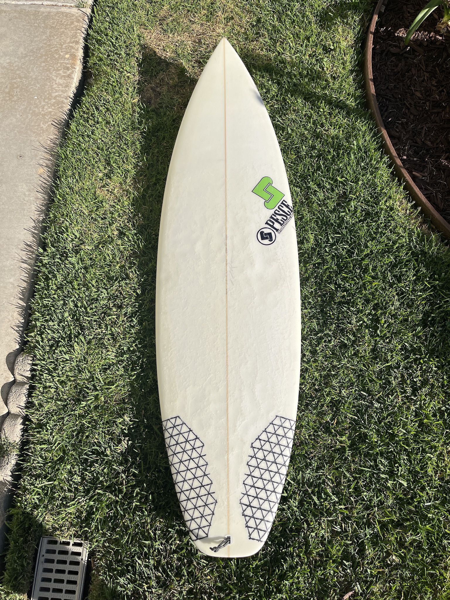 Pesce Surfboard