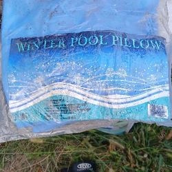 Pool Pillow