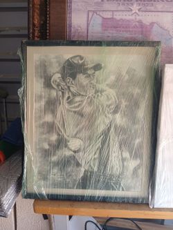 Tiger wood original painting