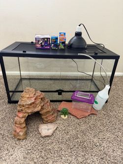 40-Gallon Reptile Terrarium + Accessories