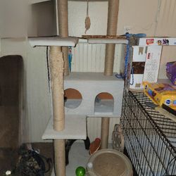 Cat Tower A Bit Over 5 1/2ft Tall