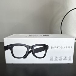 AI Smart Glasses