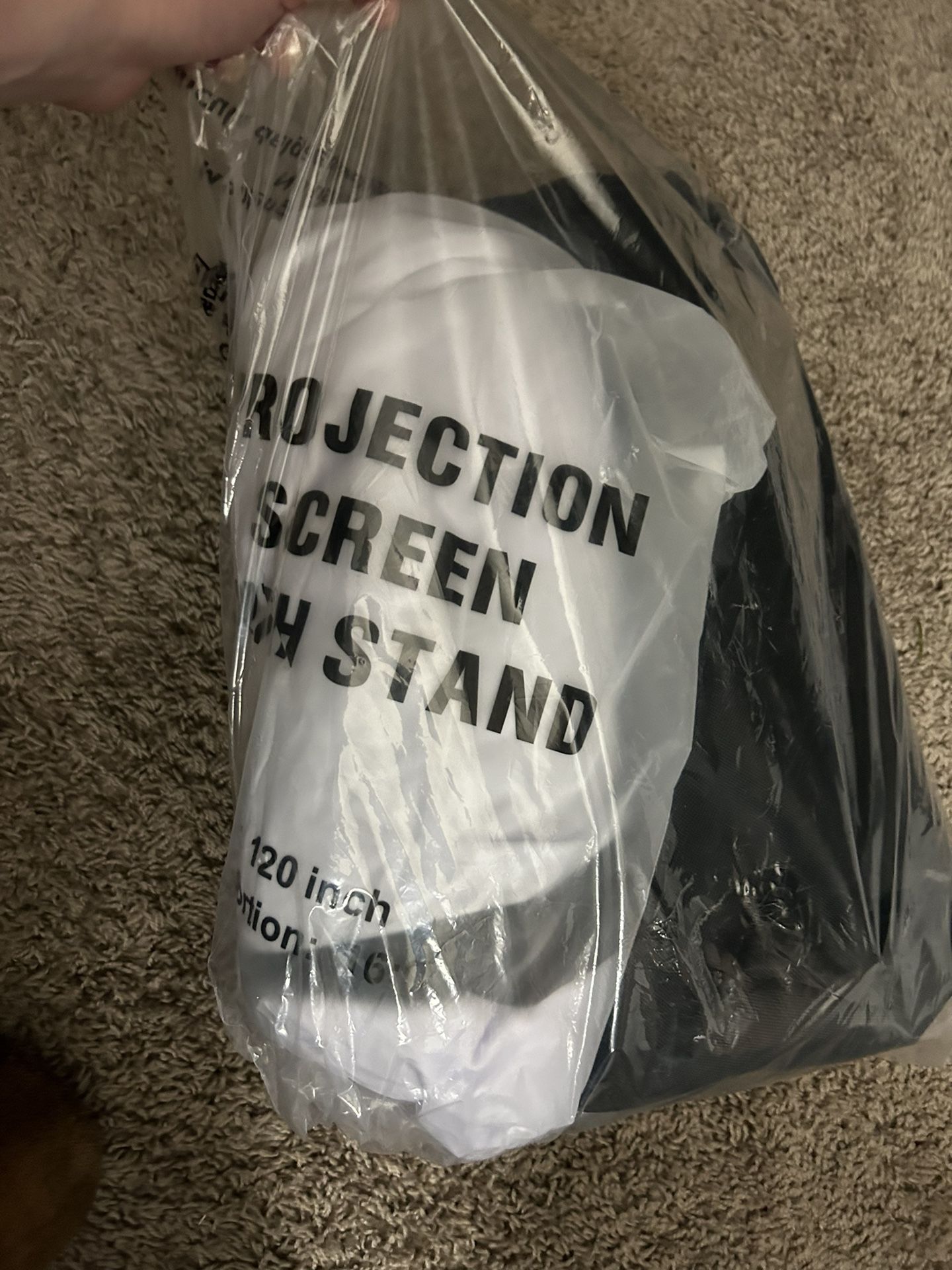 Projection Screen With A Stand