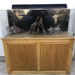 60 Gallon Acrylic Aquarium Fish Tank Setup