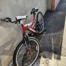 RINO BIKE  ,  FLAT  TIRES  , 20DLS. 