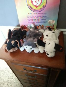 Doberman husky and Dalmatian beanie baby dog's