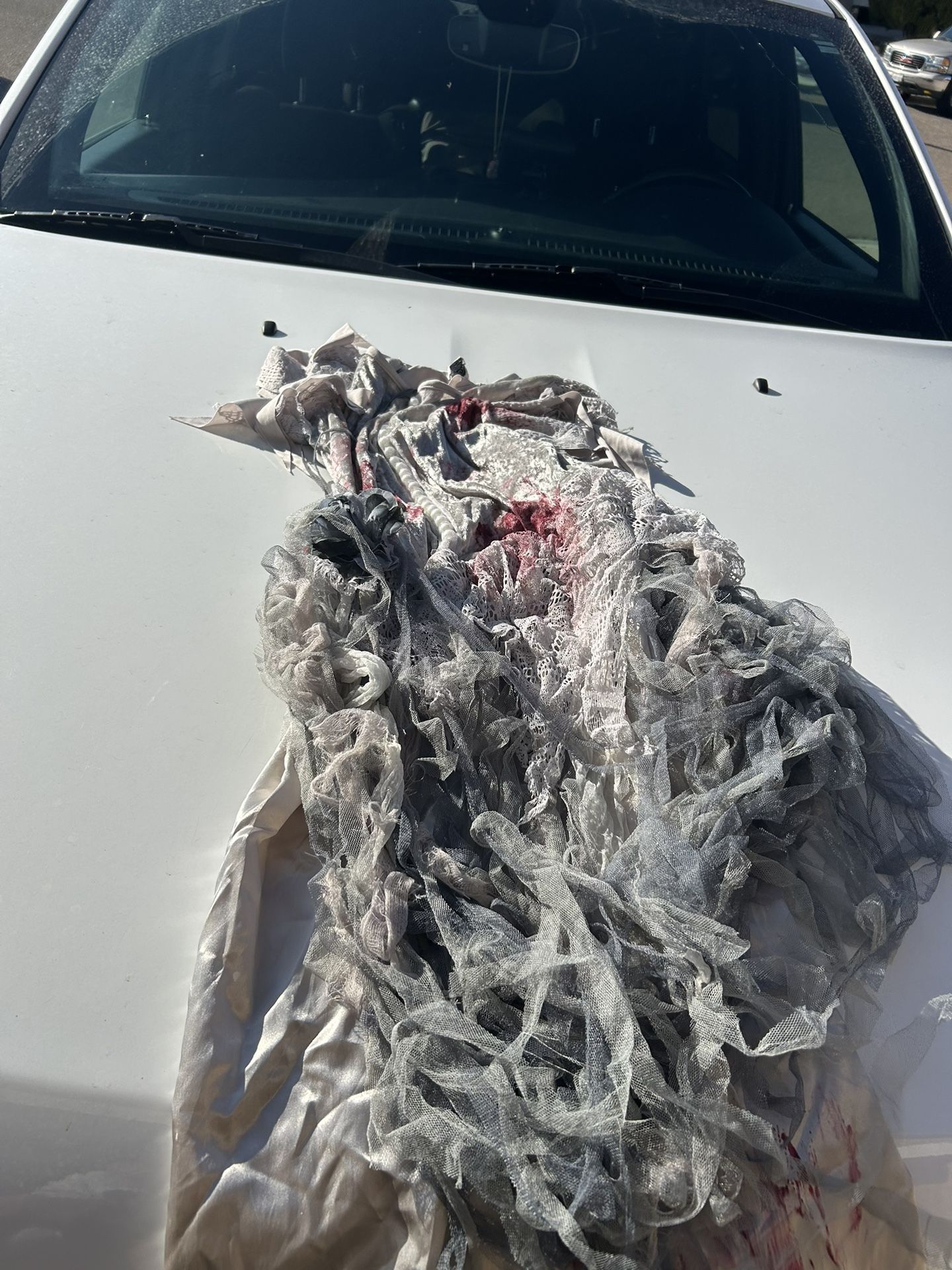 Mummy Bride Costume