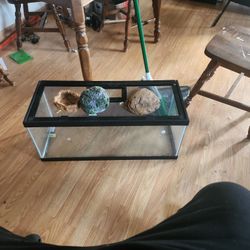 Aquarium 