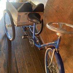 3 Wheeler Tricycle Bike  🏍️ 