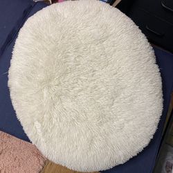 Stuffy Pillow 