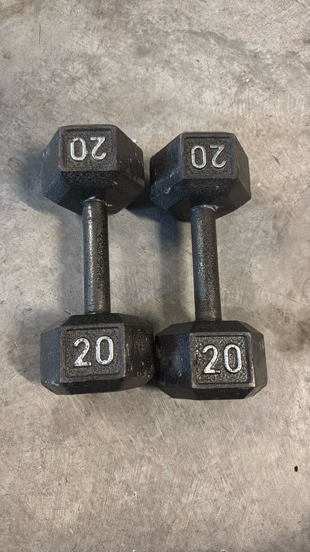 20lbs Dumbbells