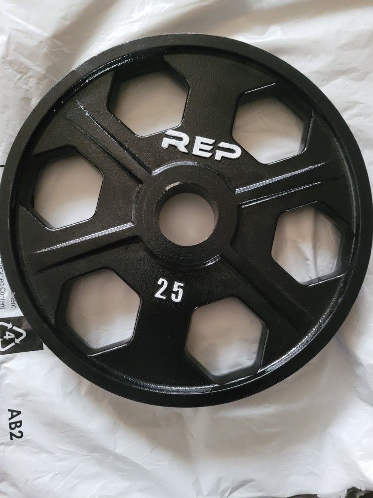 Rep Fitness Equalizer Iron Olympic Plate Pair