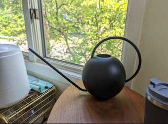 Matte Black Modern Minimalist Watering Can Garden Plants