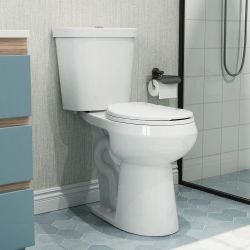 Horrow 2 Piece Toilet with round  Bowl and Dual Flush