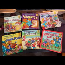 Bundle of 21 Berenstain Bears Books