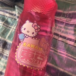 New Hello Kitty Water Bottle 