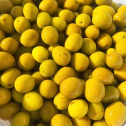 Mediterranean Salt Brine Olives