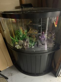 55 Gallon Fish Tank For Sale