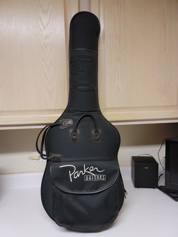 Parker custom guitar bag.