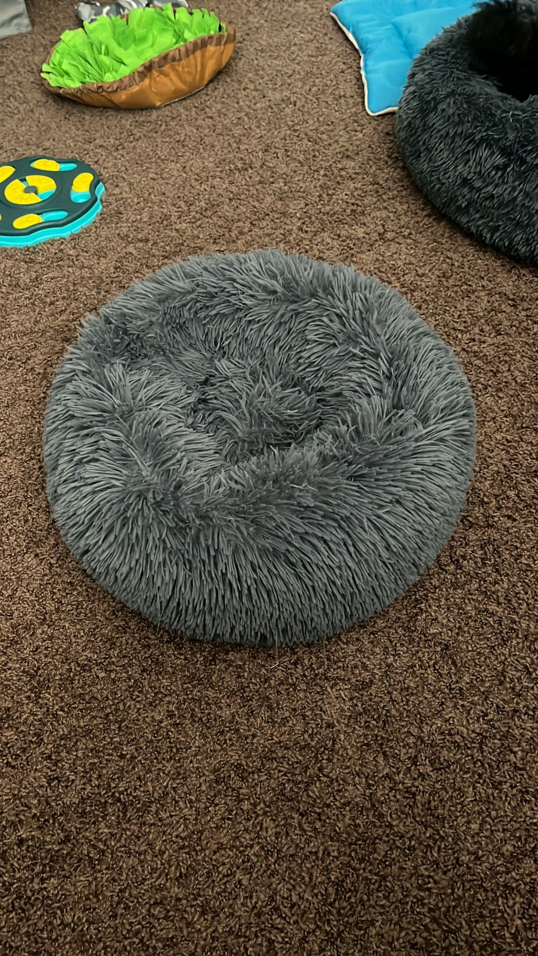 Pet Bed Good Up To 10lbs 