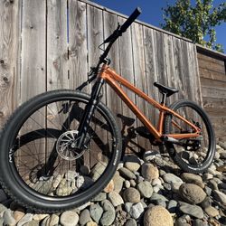 2018 Specialized P.3 Pro 