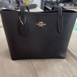 Mini Coach Tote Bag 