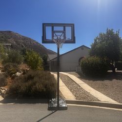 BRAND NEW BASKETBALL HOOP