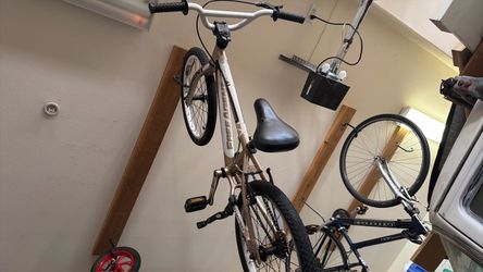 FREE AGENT CHAMP AL - BMX BIKE