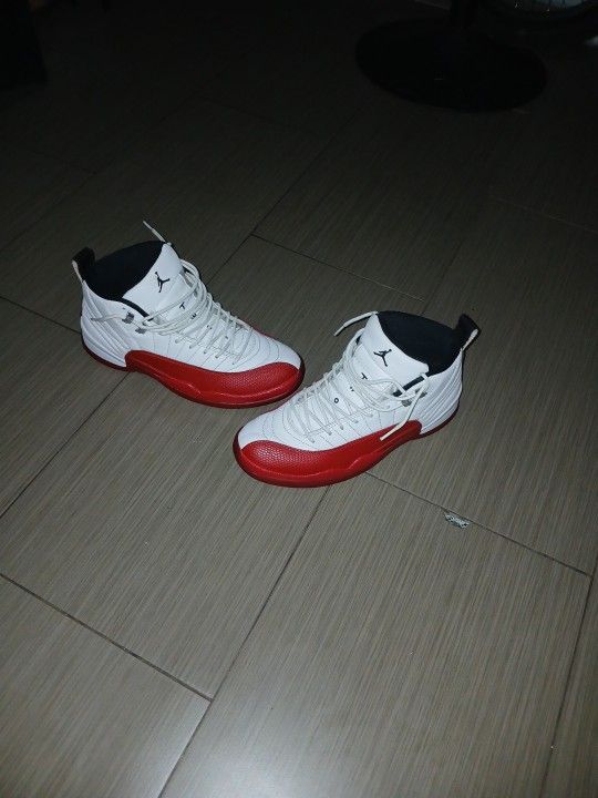 Nike Jordans Retre 12
