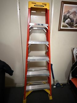 Werner 6ft Ladder