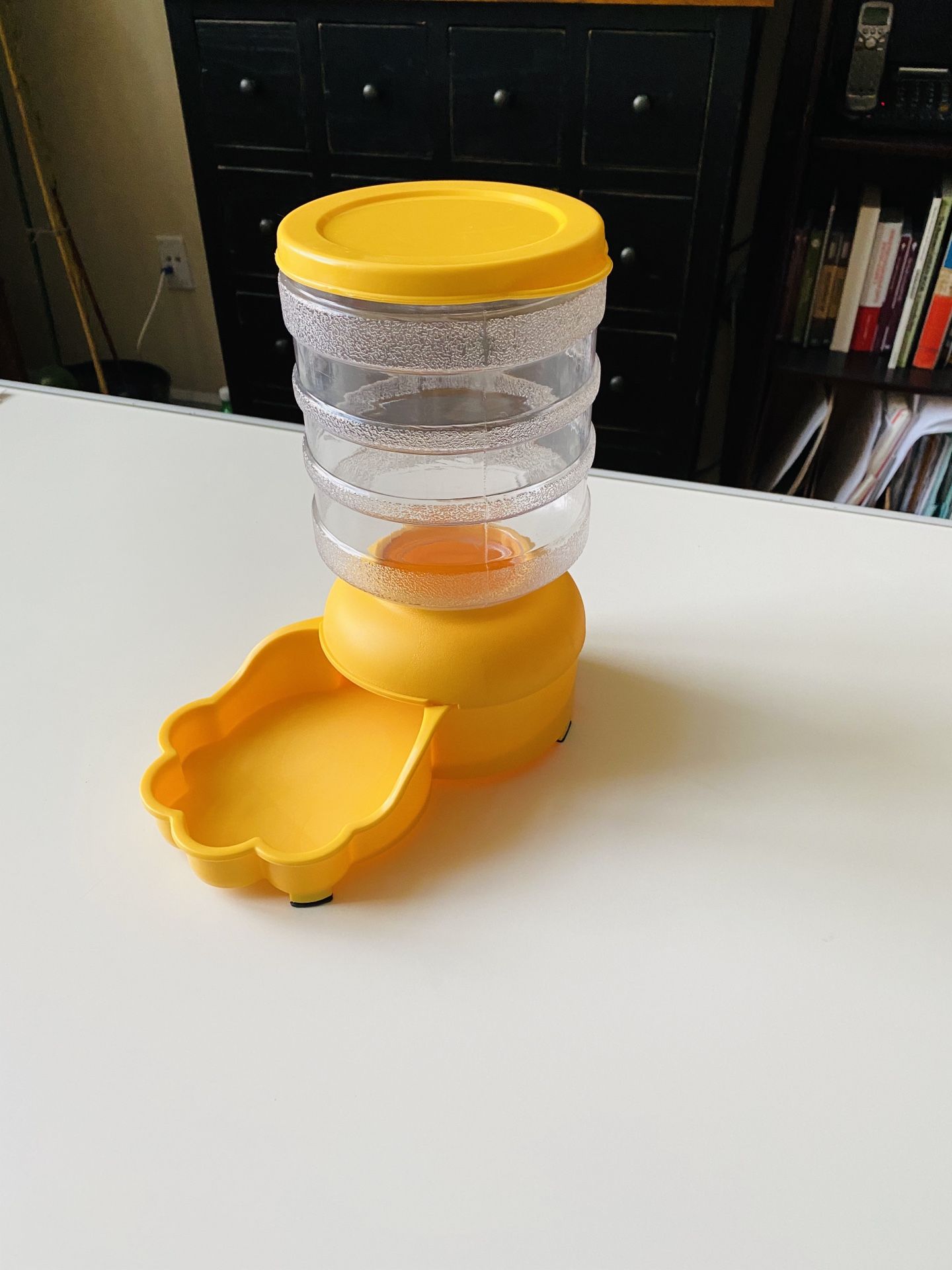 Beautiful cat or small dog auto feeder. High quality plastic. New.
