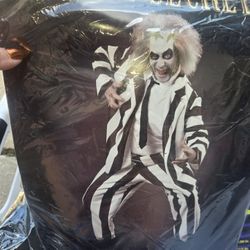 Beetlejuice Costume X-Large 2 Piece 