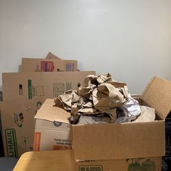 Free Moving boxes