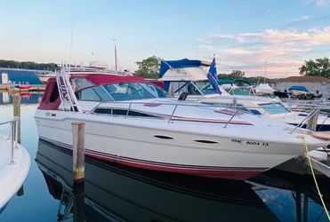 Sea Ray 300 Sundancer