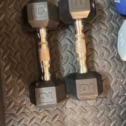 10 Lb Weights 