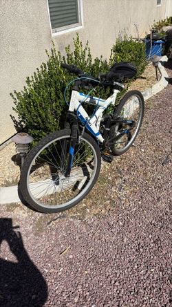 Adult Bike