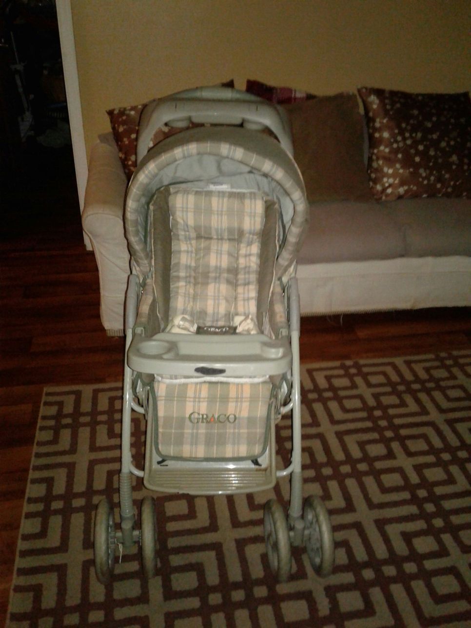 Graco hot sale coach rider