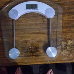 Digital Bathroom Scale Works Excellent For Sale In Pine Hills