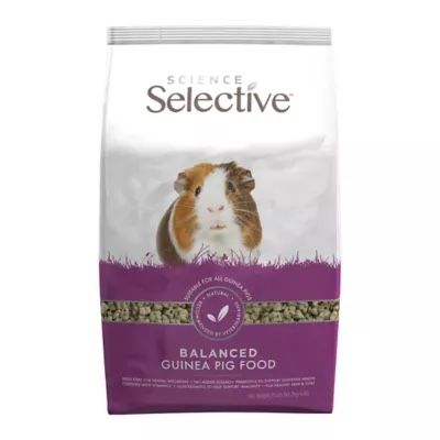 guinea pig supplies
