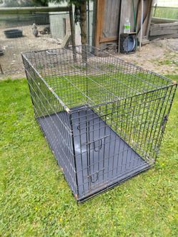 Big cage