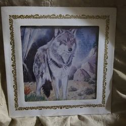Wolf Drawing Wall Picture Framed Used