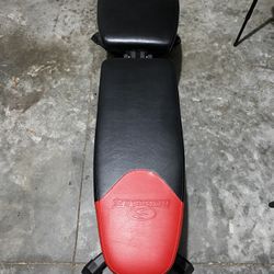 BowFlex 3.1 Adjustable Weight Bench 